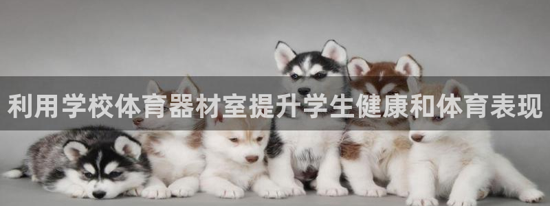 星欧娱乐扣款时间查询方法是什么呢：利用学校体育器材室