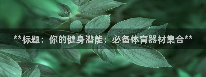 星娱乐是谁的公司