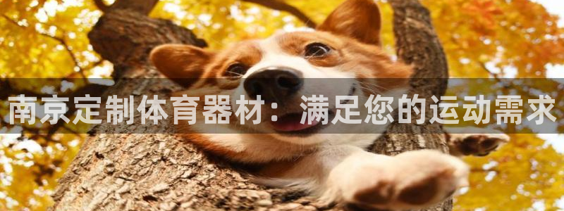 星奥娱乐集团官网