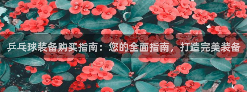 星游娱乐1官网下载：乒乓球装备购买指南：您的全面指南