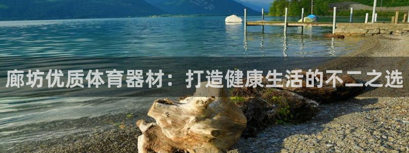 星欧娱乐载711.112使用教程详解：廊坊优质体育器