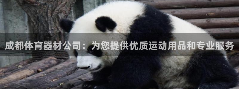 星欧娱乐公司创始人背景故事：成都体育器材公司：为您提