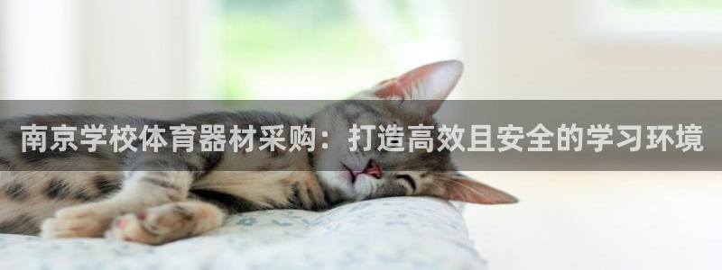 星欧娱乐用户名和密码：南京学校体育器材采购：打造高效