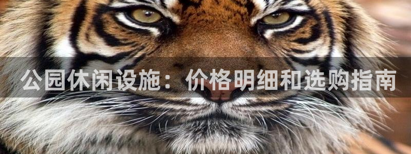 星欧娱乐公司创始人背景故事： 公园休闲设施：价格明细