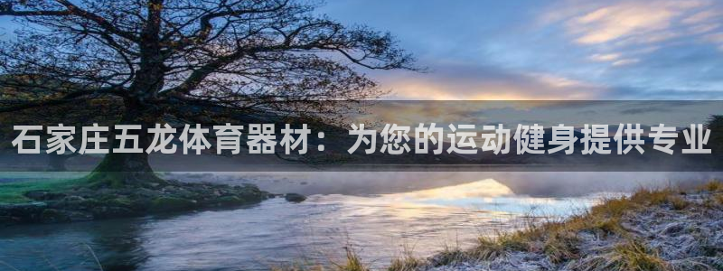 星欧娱乐扣费处理方法：石家庄五龙体育器材：为您的运动