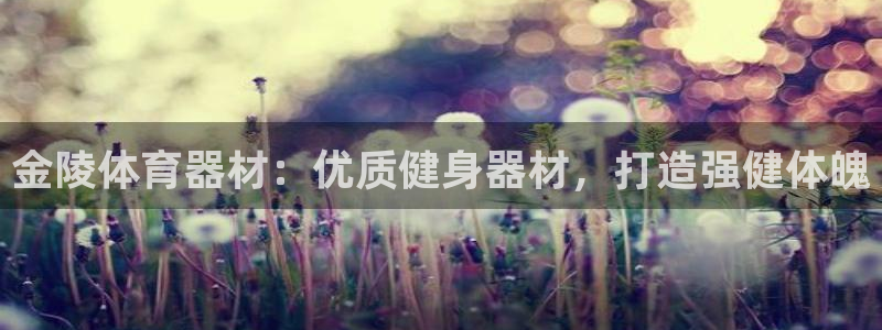 星欧娱乐公司创始人背景故事简介：金陵体育器材：优质健
