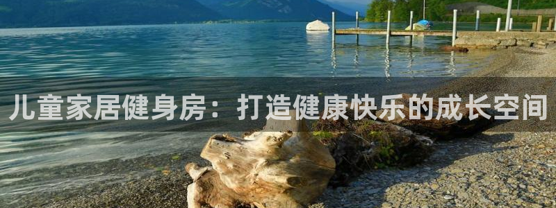 星欧娱乐平台怎么样啊：儿童家居健身房：打造健康快乐的