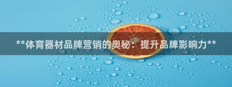 星欧娱乐是正规平台吗安全吗是真的吗：**体育器材品牌