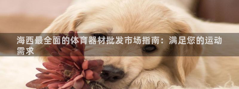 星欧娱乐扣款流程详解视频播放：海西最全面的体育器材批