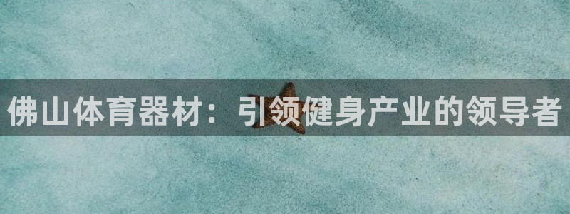 星欧娱乐是正规平台吗安全吗是真的吗：佛山体育器材：引