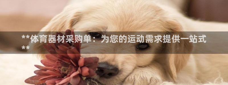 星欧娱乐的官方版本更新内容：**体育器材采购单：为您