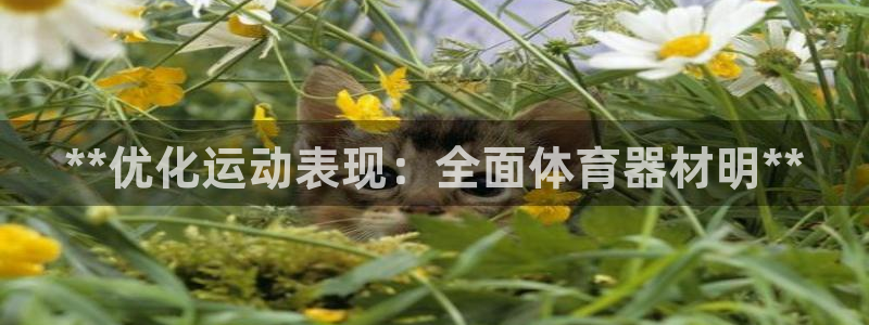 星娱乐online创作的原声这个歌曲叫什么名字：**