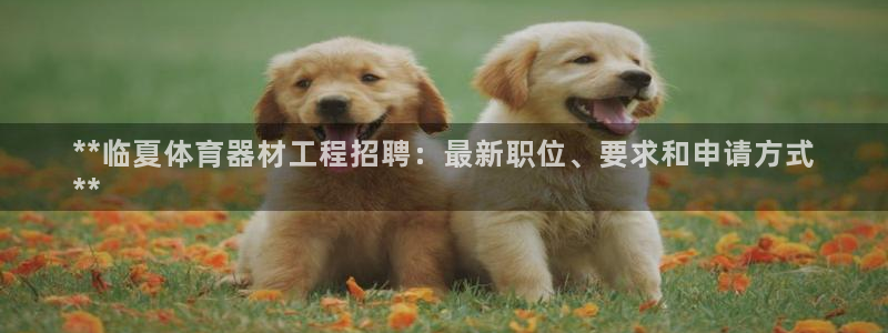 星欧娱乐最建议买的三个产品有哪些：**临夏体育器材工