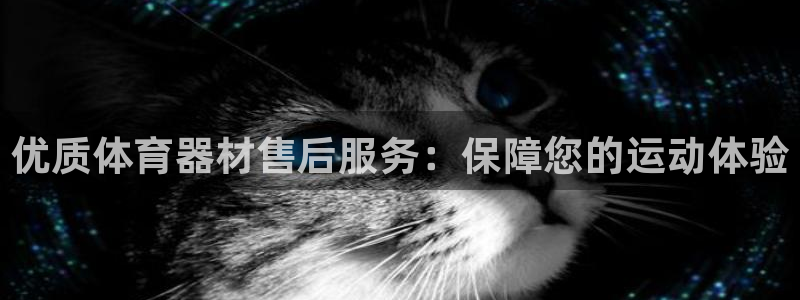 星欧娱乐联最新新闻：优质体育器材售后服务：保障您的运