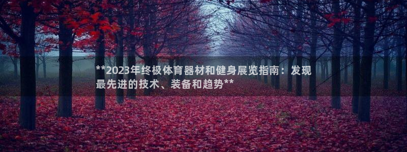 星欧娱乐扣款流程详解视频：**2023年终极体育器材