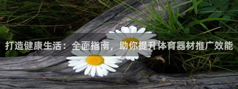 星欧娱乐扣款流程详解视频播放：打造健康生活：全面指南