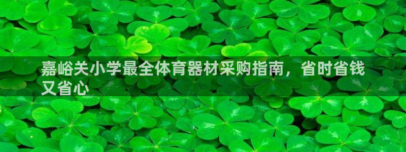 星欧娱乐属于什么档次的公司啊：嘉峪关小学最全体育器材