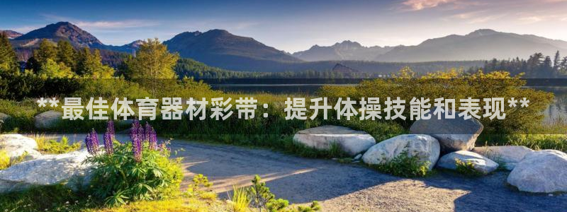 星欧娱乐平台怎么样啊可靠吗：**最佳体育器材彩带：提