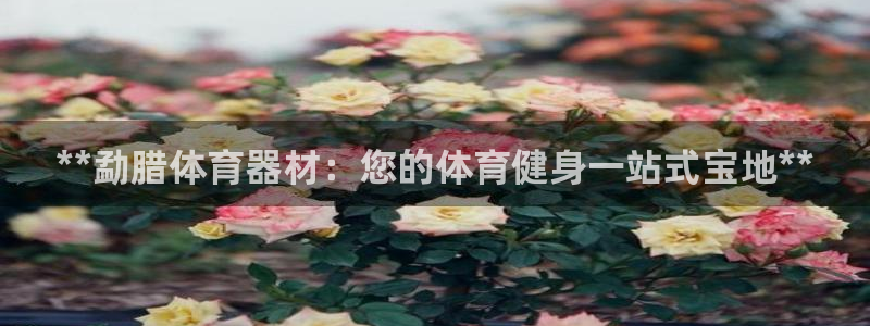 星欧娱乐会员优惠活动：**勐腊体育器材：您的体育健身