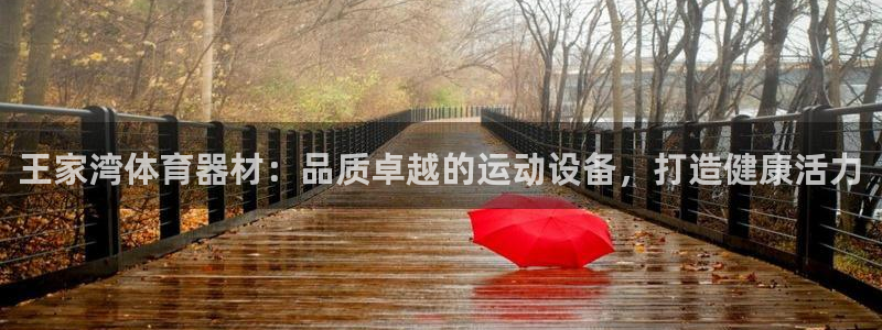 星欧娱乐属于什么档次：王家湾体育器材：品质卓越的运动