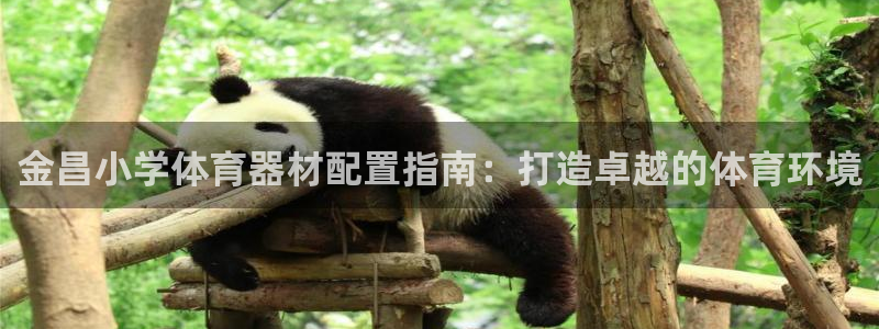 星欧娱乐平台：金昌小学体育器材配置指南：打造卓越的体
