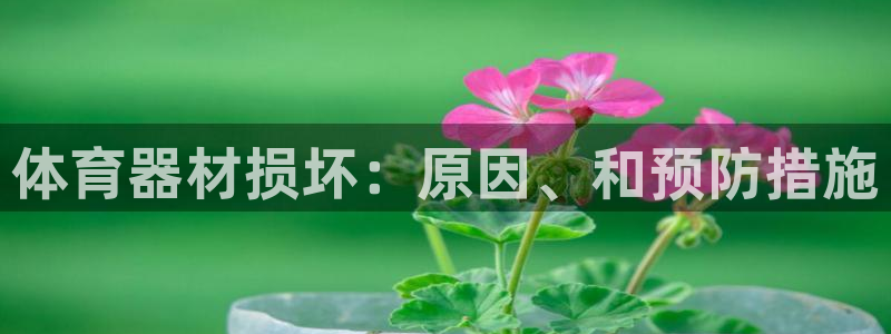 星欧娱乐扣款怎么回事：体育器材损坏：原因、和预防措施