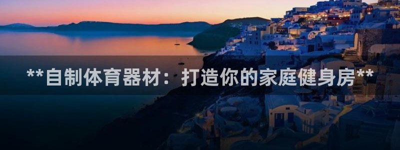 星欧娱乐最建议买的三个游戏：**自制体育器材：打造你