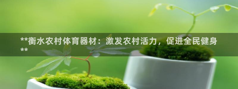 星游娱乐1官网下载：**衡水农村体育器材：激发农村活