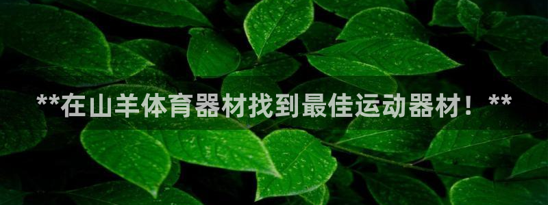 星欧娱乐扣款时间查询方法怎么查不了：**在山羊体育器