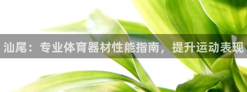星欧娱乐伐官网注册：汕尾：专业体育器材性能指南，提升