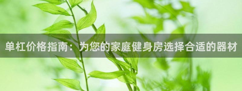 星欧娱乐挂机：单杠价格指南：为您的家庭健身房选择合适