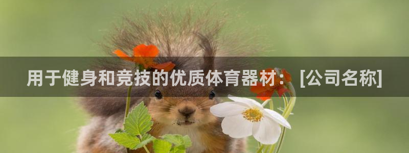 星欧娱乐发7O777：用于健身和竞技的优质体育器材：