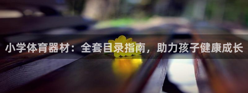星欧娱乐官网首页：小学体育器材：全套目录指南，助力孩