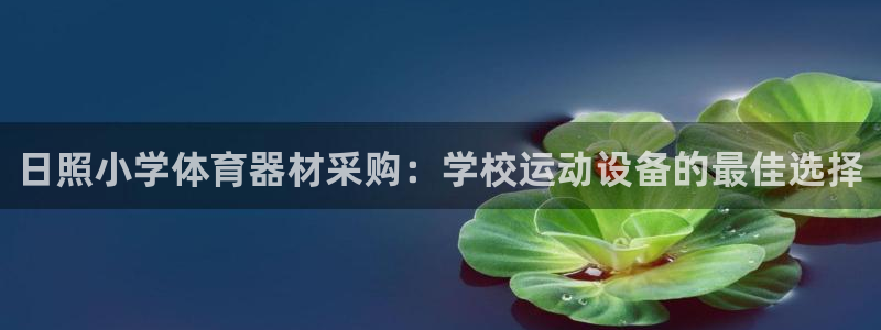 星欧娱乐法711.112扣费如何处理：日照小学体育器