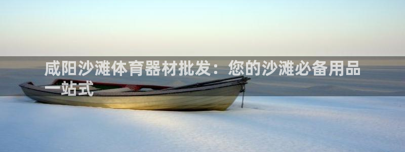星奥盛典娱乐会所：咸阳沙滩体育器材批发：您的沙滩必备