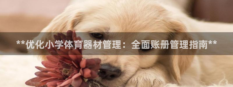 永韬星娱乐：**优化小学体育器材管理：全面账册管理指