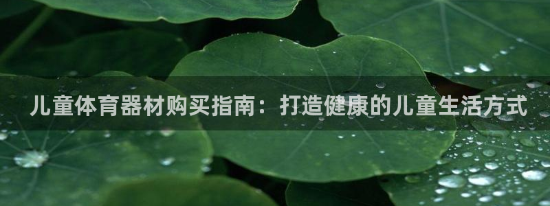 星欧娱乐最建议买的三个产品有哪些呢： 儿童体育器材购