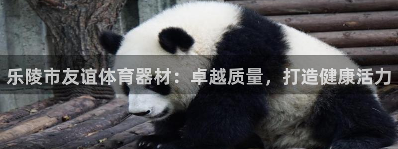 星澳娱乐公司简介：乐陵市友谊体育器材：卓越质量，打造