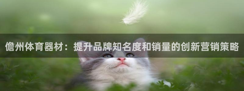 星欧娱乐是正规平台吗安全吗是真的吗：儋州体育器材：提