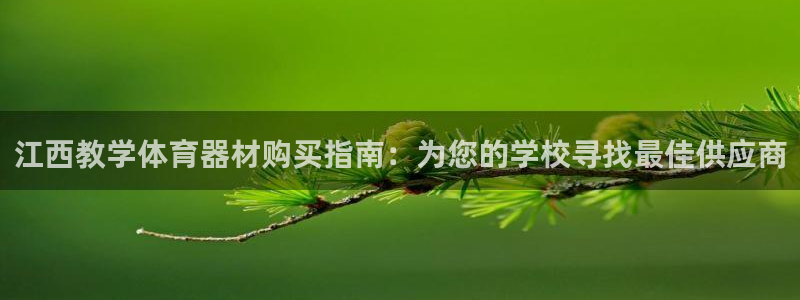 星欧娱乐公司创始人背景故事：江西教学体育器材购买指南