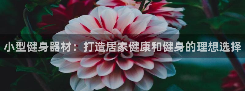 星欧娱乐退款电话人工服务：小型健身器材：打造居家健康