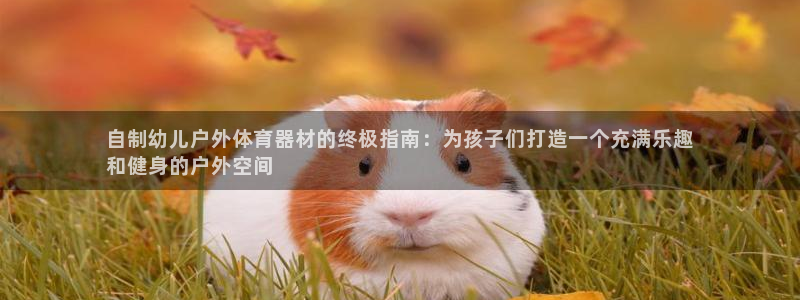 星奥娱乐艺人：自制幼儿户外体育器材的终极指南：为孩子