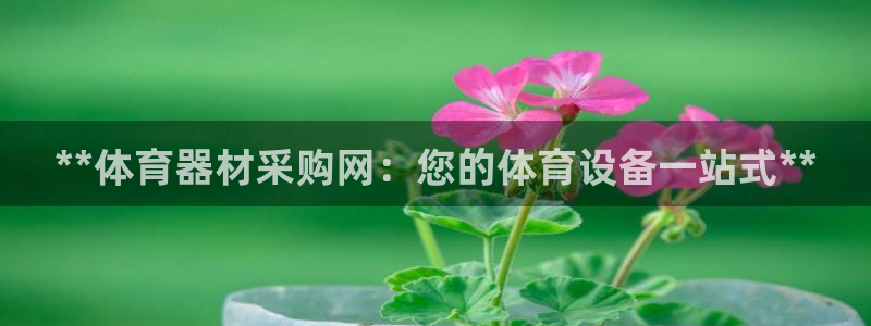 星欧娱乐热最建议去的三个地方：**体育器材采购网：您