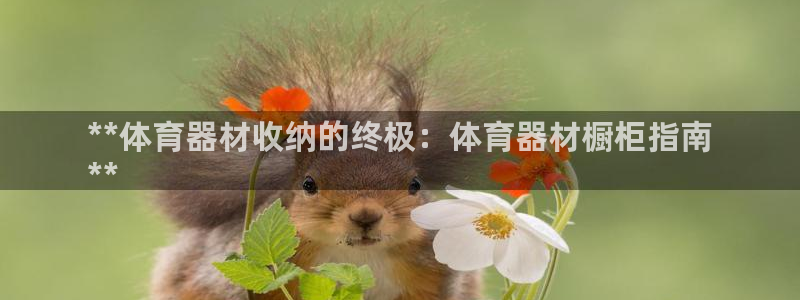 星奥娱乐艺人：**体育器材收纳的终极：体育器材橱柜指