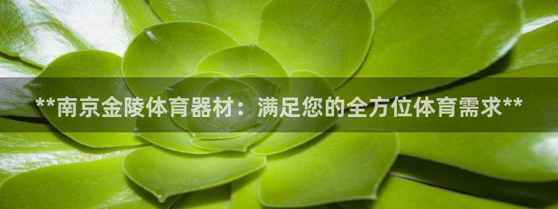 星欧娱乐app最新版本更新内容是什么：**南京金陵体