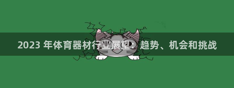 星奥娱乐集团股份有限公司怎么样：2023 年体育器材