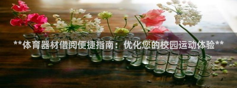 星欧娱乐公司电话号码：**体育器材借阅便捷指南：优化