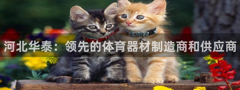 星欧娱乐测速怎么样：河北华泰：领先的体育器材制造商和