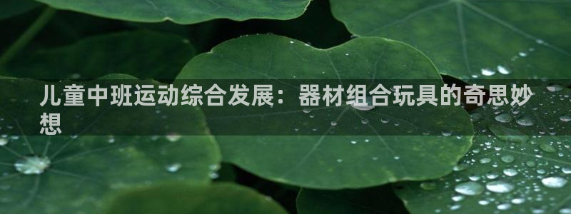 星欧娱乐官方客服联系方式电话：儿童中班运动综合发展：