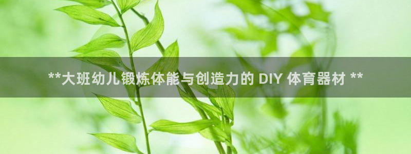 星欧娱乐属于什么档次：**大班幼儿锻炼体能与创造力的